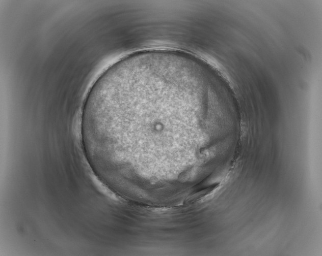 X0000112411421200909110940