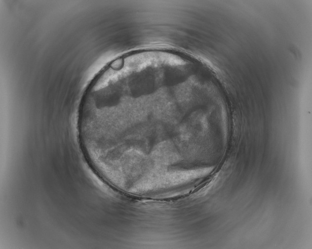 X0000112411422200909110940