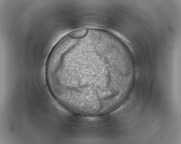 X0000112411423200909110940