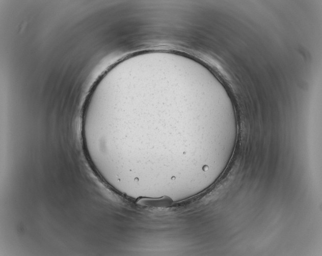 X0000112411424200909110940
