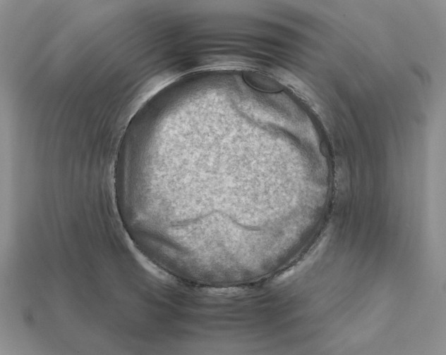 X0000112411425200909110940