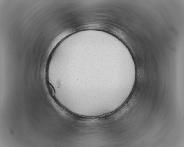 X0000112411426200909110940