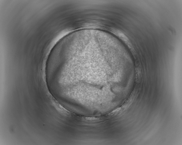 X0000112411427200909110940