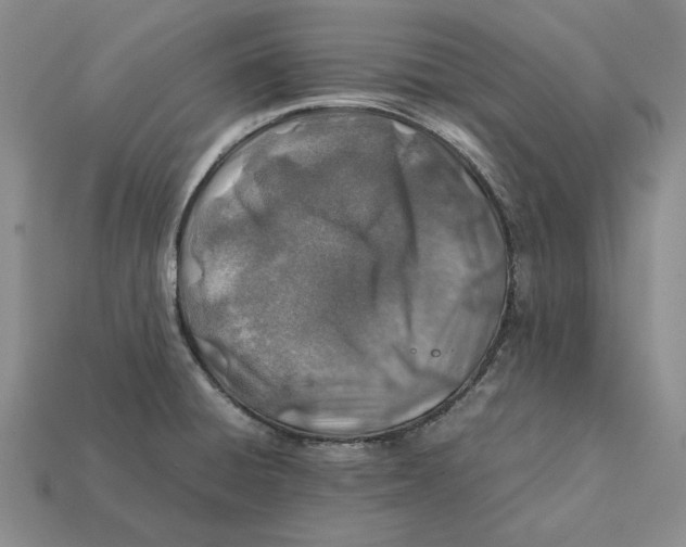 X0000112411428200909110940