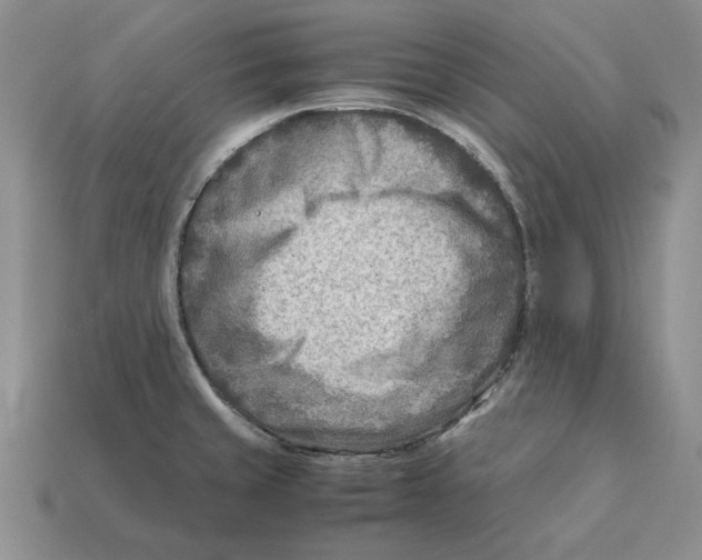 X0000112411429200909110940