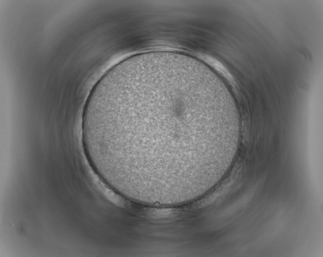 X0000112411431200909110940