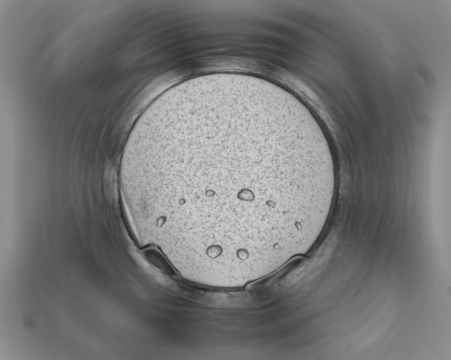 X0000112411433200909110941