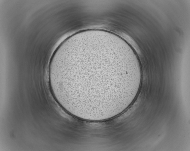 X0000112411436200909110941