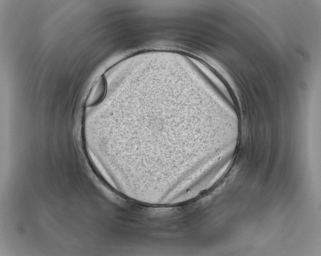X0000112411437200909110941