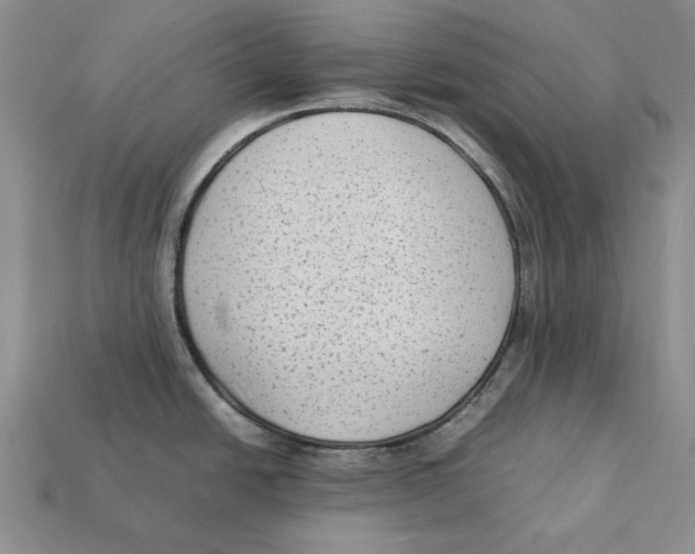X0000112411438200909110941