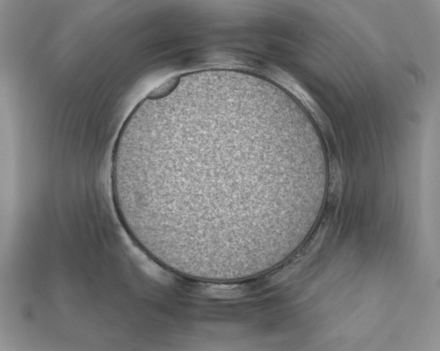 X0000112411439200909110941