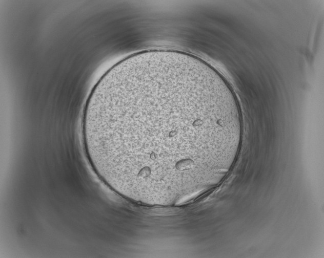 X0000112411440200909110941