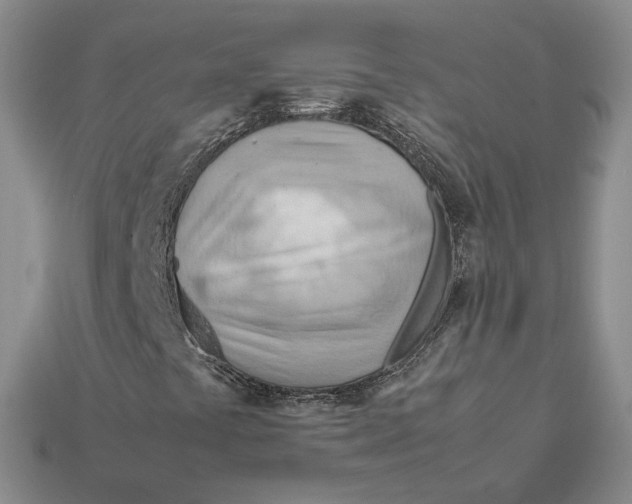 X0000112411441200909110940