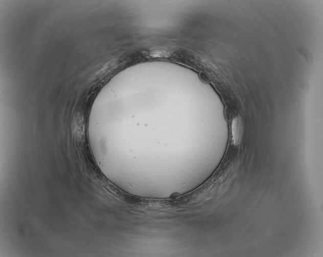X0000112411443200909110940