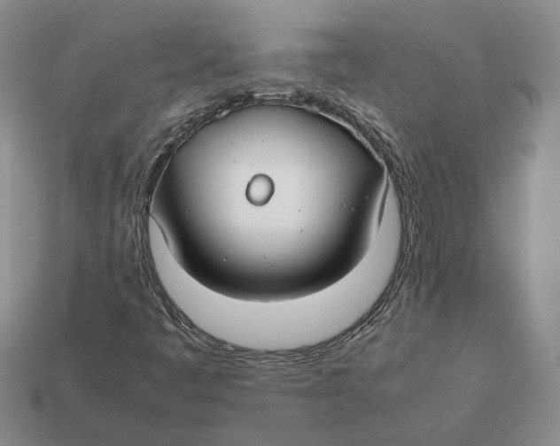 X0000112411445200909110940