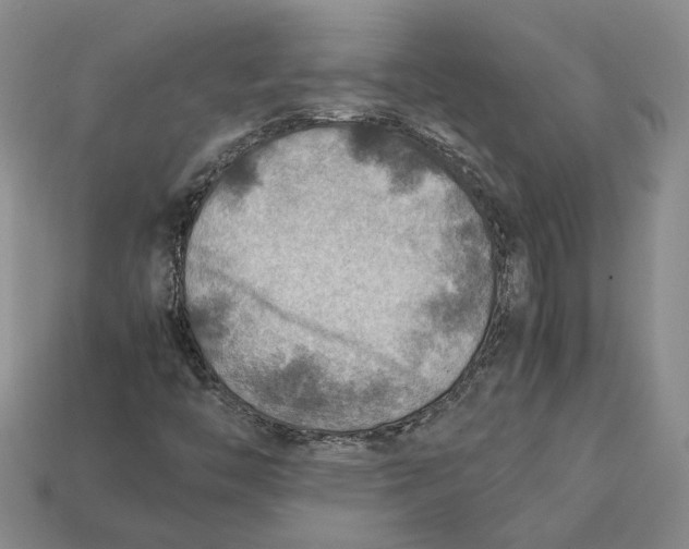 X0000112411446200909110940