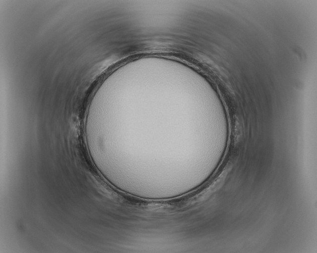 X0000112411449200909110940