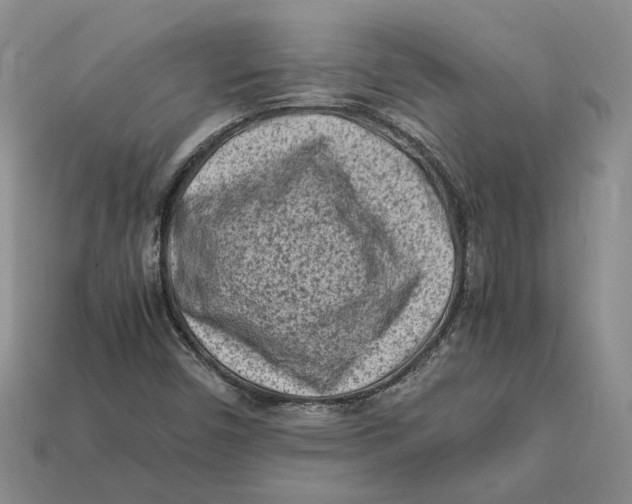 X0000112411450200909110940