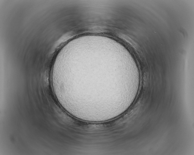 X0000112411451200909110940