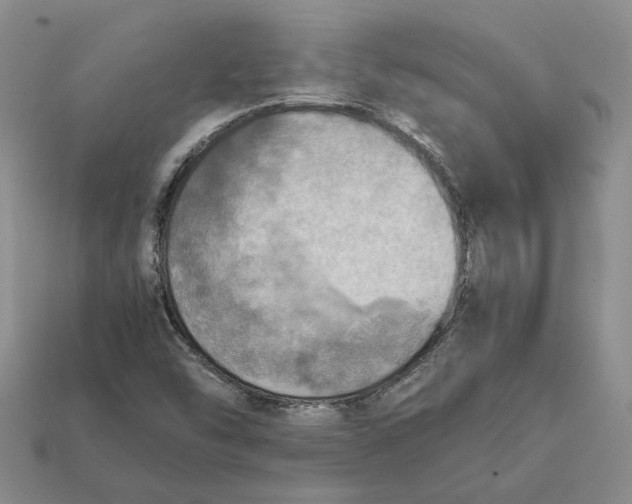 X0000112411454200909110940