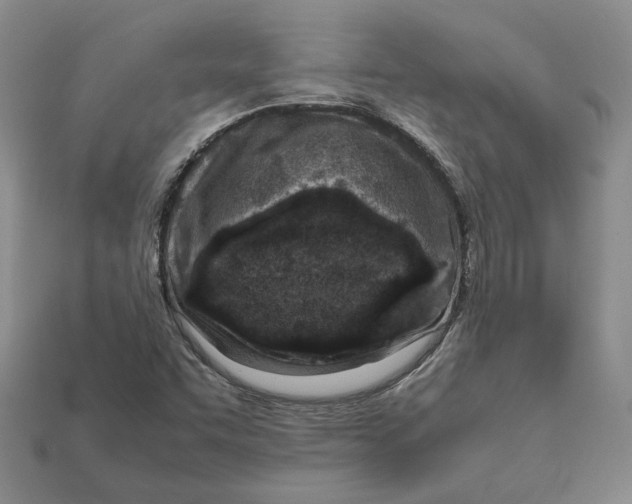 X0000112411455200909110940