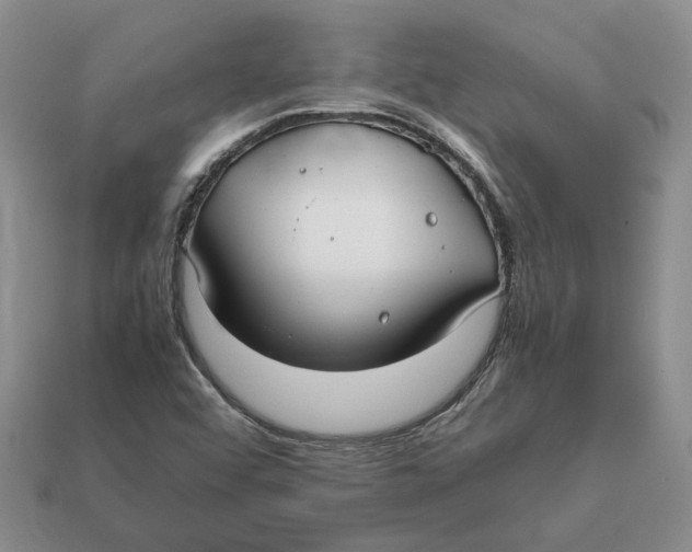 X0000112411456200909110940