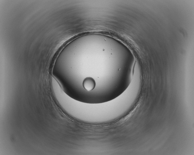 X0000112411457200909110940