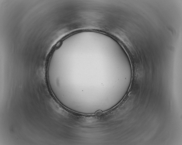 X0000112411460200909110940