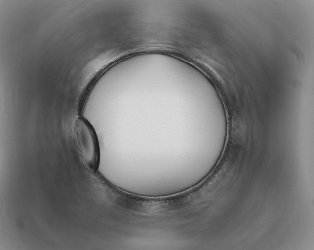 X0000112411461200909110940