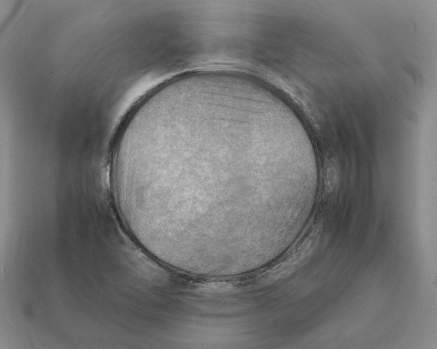 X0000112411462200909110940