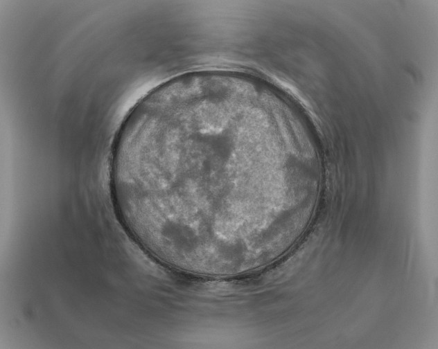 X0000112411463200909110940