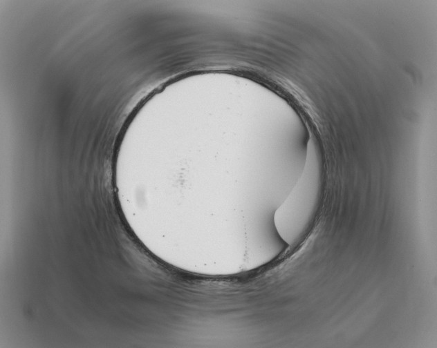 X0000112411465200909110940
