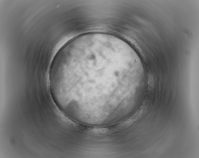 X0000112411466200909110940