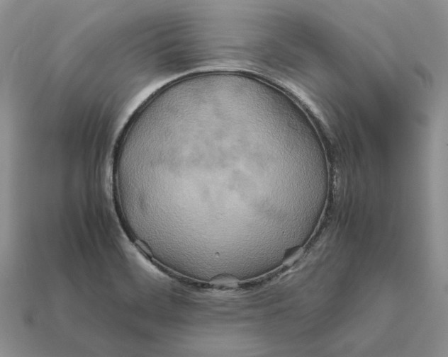 X0000112411468200909110940