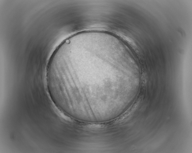 X0000112411470200909110940