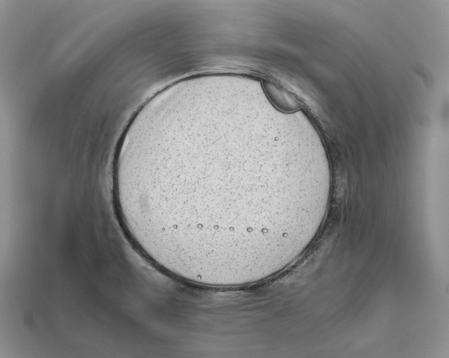 X0000112411471200909110940