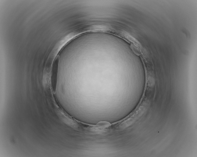 X0000112411473200909110940