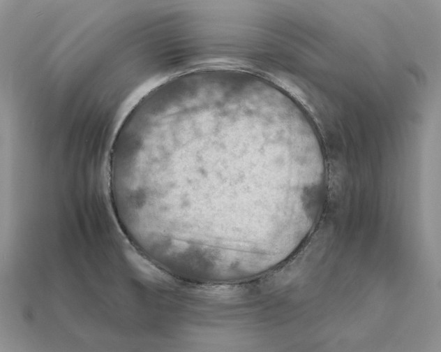 X0000112411474200909110940