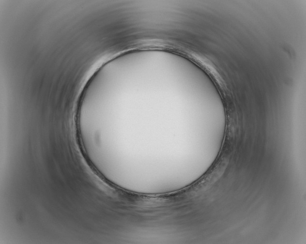 X0000112411475200909110940