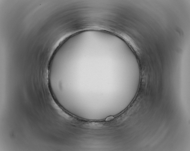 X0000112411476200909110940