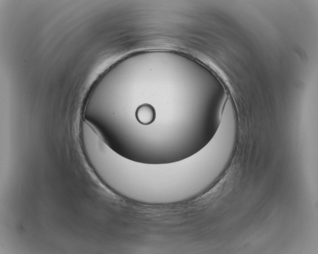 X0000112411477200909110940