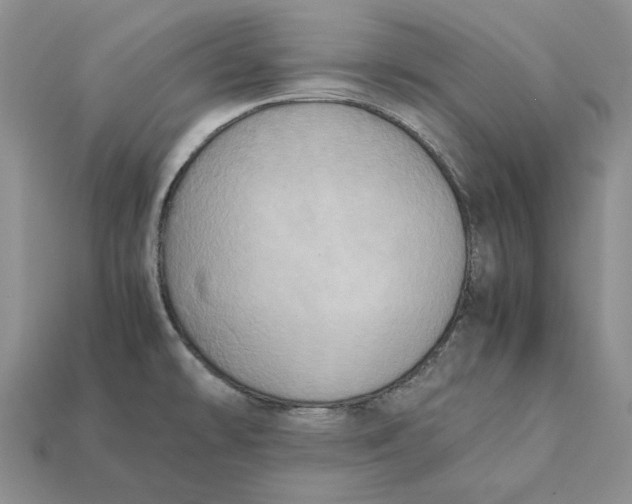 X0000112411478200909110940