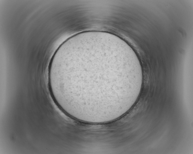 X0000112411479200909110940