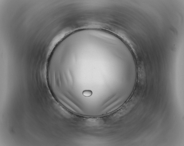 X0000112411480200909110939