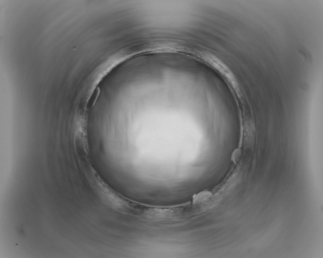 X0000112411481200909110939