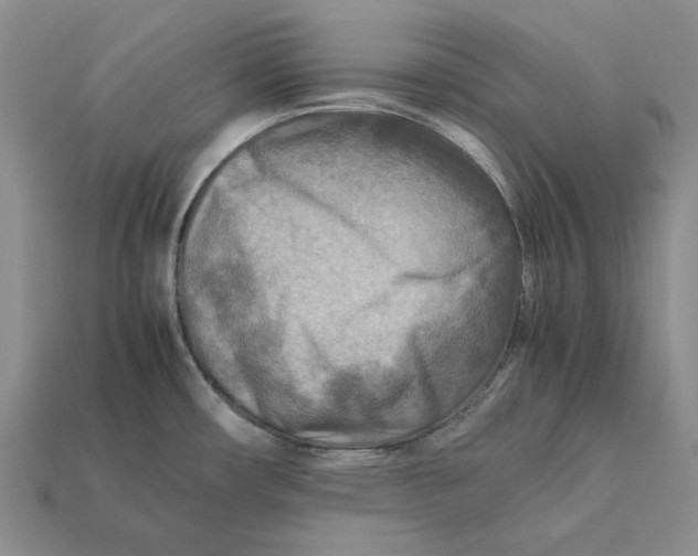 X0000112411482200909110939