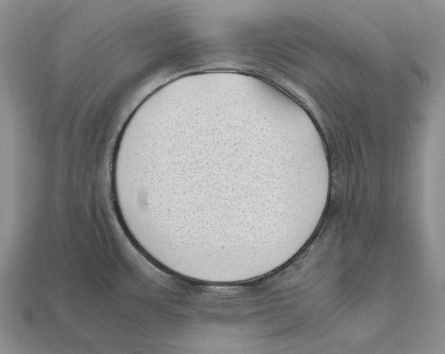 X0000112411483200909110939