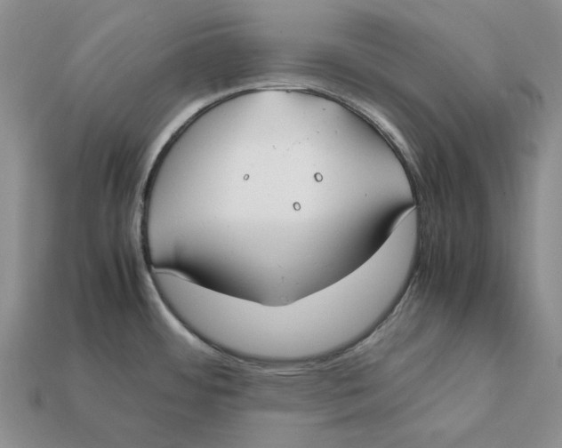 X0000112411484200909110939