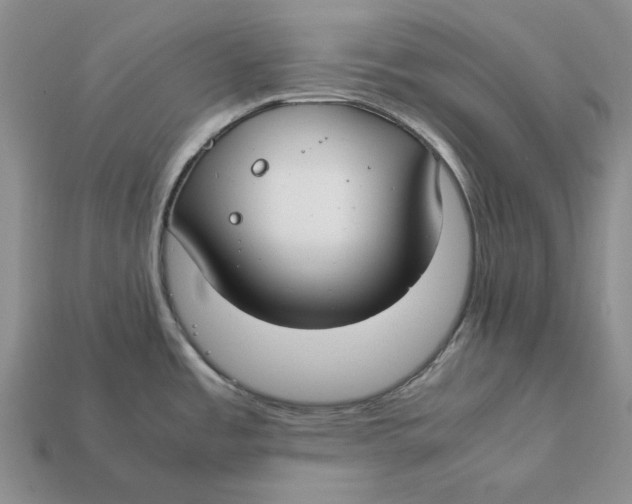 X0000112411485200909110939