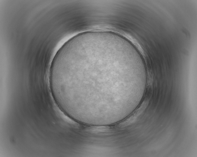 X0000112411486200909110939